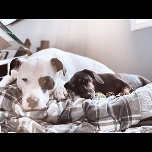 Meet your Posher, Jamie